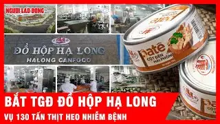 Chấn động: Bắt n&oacute;ng TGĐ Đồ hộp Hạ Long v&agrave; 3 c&aacute;n bộ vụ thịt heo dịch tả | Tin tức