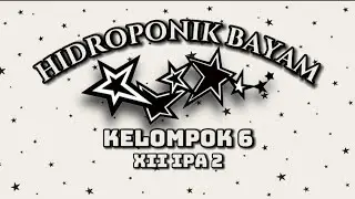 HIDROPONIK BAYAM (6) - 12 IPA 2