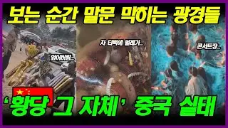 중국반응 | 보는 순간 말문이 턱 막히는 황당하고 비위생적인 중국 사건들