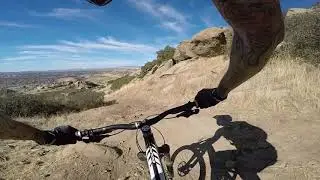 Hummingbird trail