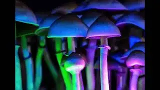 'good times groove (electric)' a psychadelic jam out