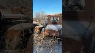HUGE lot of Vintage Cars! Day 1 Moving #vintagecars #classiccars #barnfind