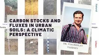 Carbon Stocks and Fluxes in Urban Soils: a Climatic Perspective