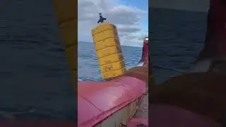 balise