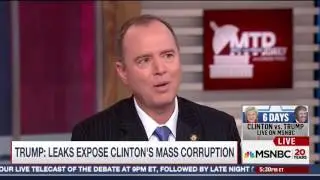 Rep. Schiff Discusses Russian Hacking of US Elections and Wikileaks on MSNBC