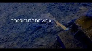 9. CORRIENTE DE VIDA | CURRENT OF LIFE