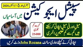 Special Education Jobs 2020 | Latest Advertisement For Male & Female