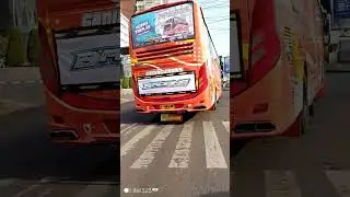 suara knalpot pri pri gading trans❗🗿#busmania #basuriviral#nadaviral #fypシ゚viral #kingtripid