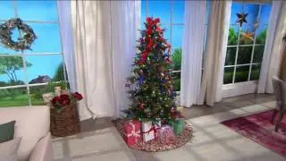 ED On Air Set of 9 Knit Sweater Ornaments by Ellen DeGeneres on QVC