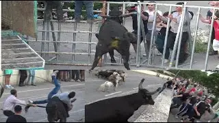 ARAMON FESTIVAL DE BANDIDO 💥TAUREAUX NEUF 😱🐮28.05.2023