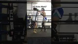 Calf Kick Exchange 🦵