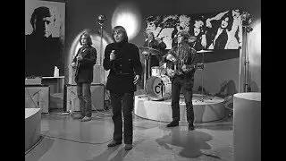 Cuby + Blizzards - Stumble and fall ( 1965 )
