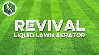 Revival: Liquid Aeration for Lawns