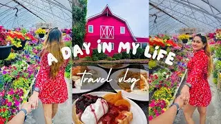 A Day at The Berry Barn Saskatoon: Berry picking, Family Fun, and Dream Weddings!