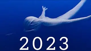 Evolution of Los Ningen
