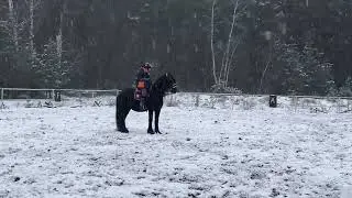 ХИЛЛТОН и НИКА ГРОМОВА❄️❄️🫶
