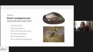 Virtual Lunch & Learn Series - Special Eno Species