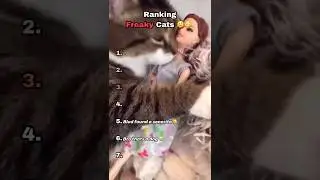 Ranking Freaky Cats 🫣🤫