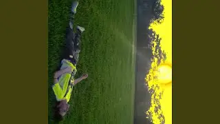 Vitamin D