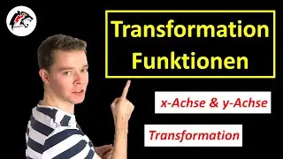 TRANSFORMATION von Polynomfunktionen/ganzrationale Funktionen | Mathe Tutorial