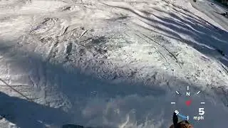 Engledive