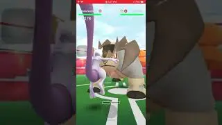 POK&Eacute;MON GO WEATHER BOOSTED TERRAKION DUO