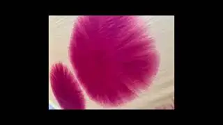 A documentary on the creative process of making our unique sustainable clothing with natural dyes