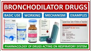 BRONCHODILATOR DRUGS, CLASSIFICATION, BASIC USE, MECHANISM, WORKING, SIDE EFFECTS, CONTRAINDICATIONS