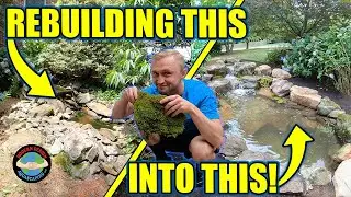 We Rebuilt an 8×11 Pond: The Before & After Will Blow You Away!
