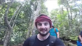 Bukit Lawang 2018
