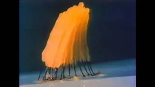a Bad Earth Connection - decay