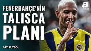 Kanarya'nın Talisca Planı! 
