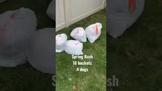 Spring Rush as a professional pooper scooper #shorts