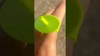 RING WISHER series:Added to extensive ring collection on walks Ring wish Granter/🧚🏽