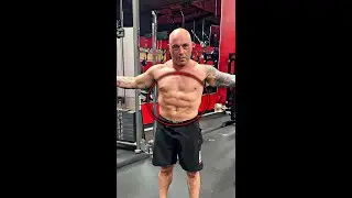 Experts Worried About Joe Rogan's Health