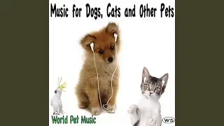 Mellow Dog Music