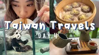 Boba inside Xiao Long Baos?  Taipei zoo and Raohe night market travel hacks // Maokong Tea farm