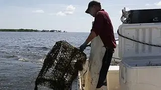 Proposed Ban on Commercial Fishing Off Miami