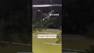 The spider retracted its cobweb in the rain