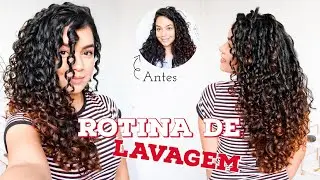 Rotina de Lavagem - Da lavagem a Finalização