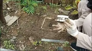Fitria Nur Fadhila XI APL-1 (DISTURBED SOIL SAMPLE)