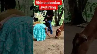 Bhimashankar Jyotirling Temple at Pamohi with Family