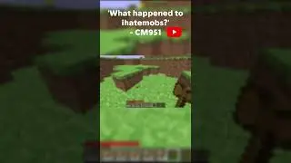 Minecraft's Most Unnerving ARG (What happened to ihatemobs?)