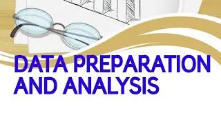 DATA PREPARATION AND ANALYSIS