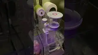 DD reef pro 1200 reef tank