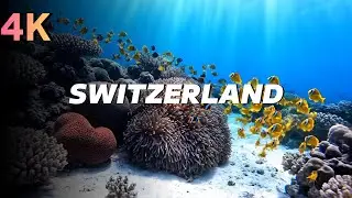 Mysteries of the Mechanical Ocean: The Copper Ship at the Bottom of the Sea 4K