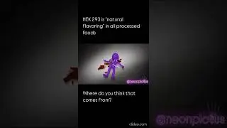 HEK 293 это 