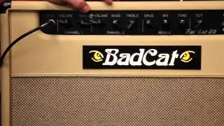 Fat Cat 50 Demo Les Paul2.mov