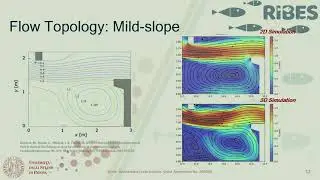 RIBES Final Conference: Coupled ecological-hydrodynamic modelling of fish movement through fishways