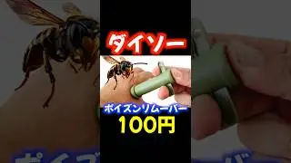 【ダイソー】スズメバチに刺されたので100円のポイズンリムーバー買ってみた！#ダイソー #daiso#ポイズンリムーバー